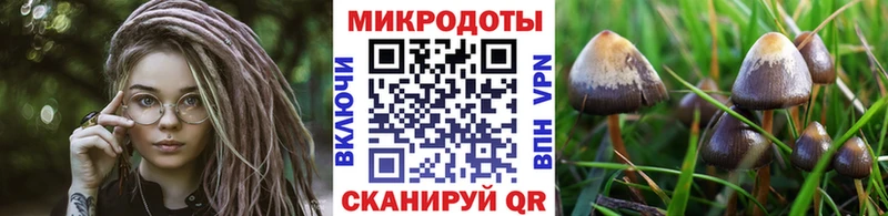 Галлюциногенные грибы Magic Shrooms  Купить закладки  Жиздра 